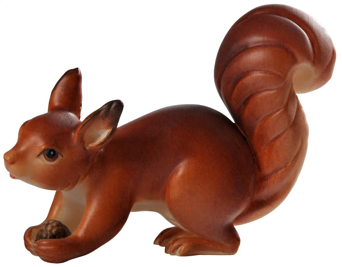 Eichhörnchen