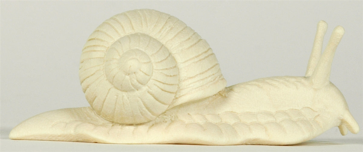 Weinbergschnecke