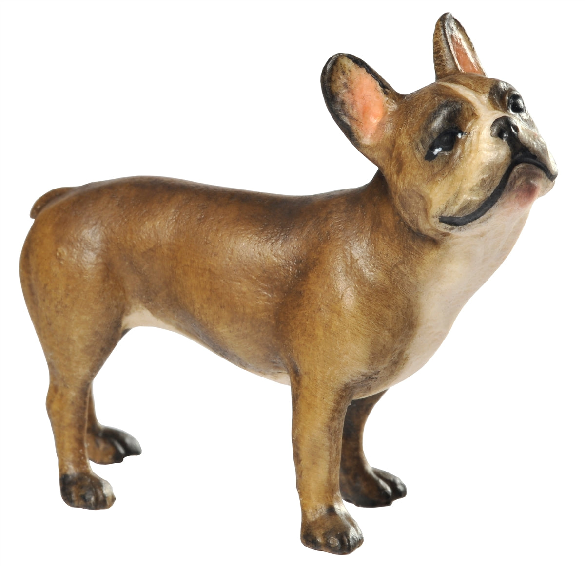 Französische Bulldogge