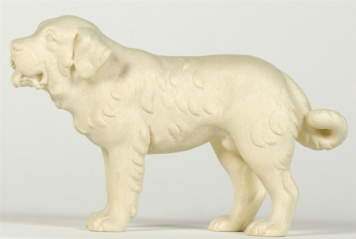 Berner Sennenhund