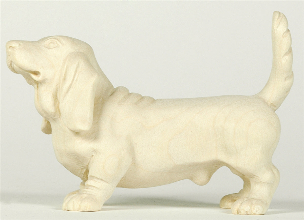 Basset Hund