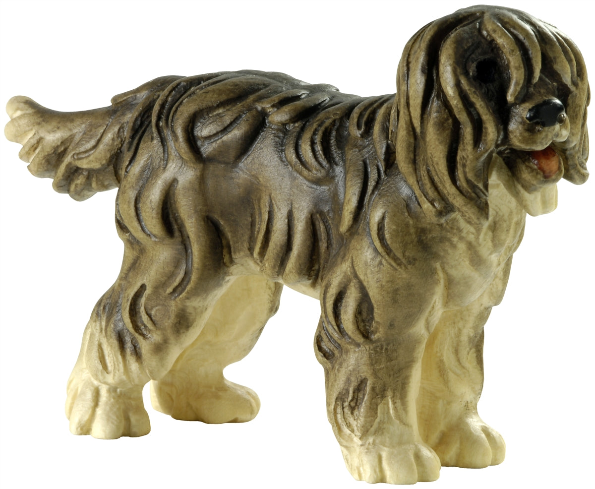 Hirtenhund - Bobtail