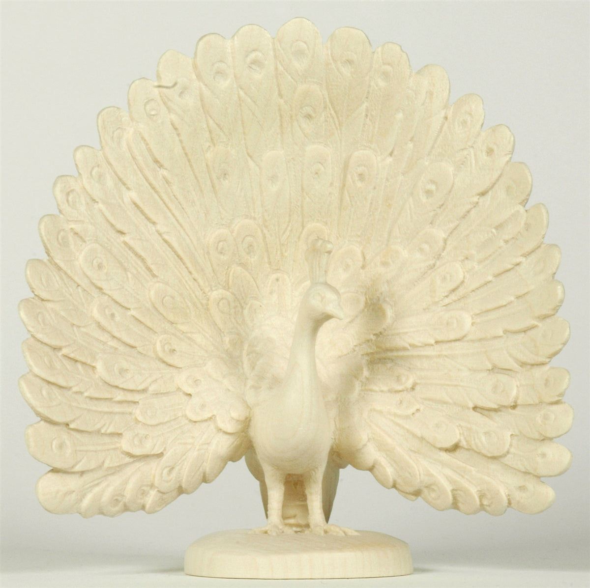 Pfau - Federn offen