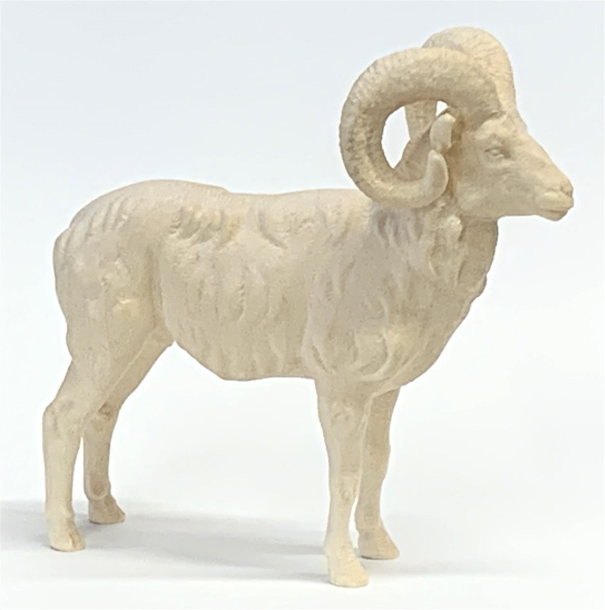 Mufflon
