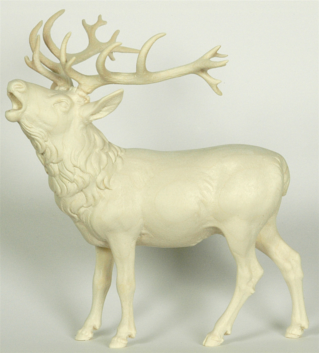 Hirsch