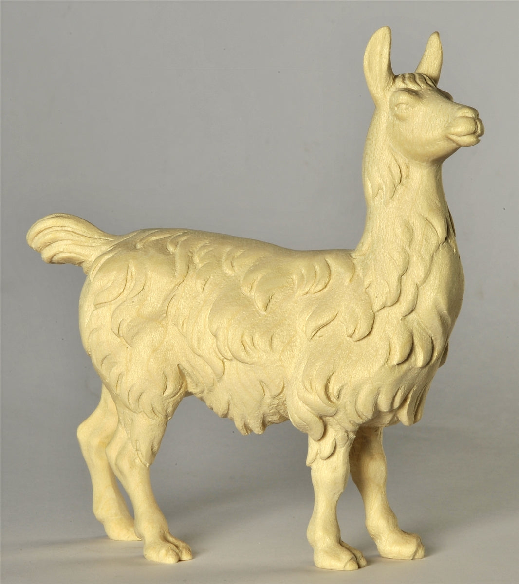 Lama