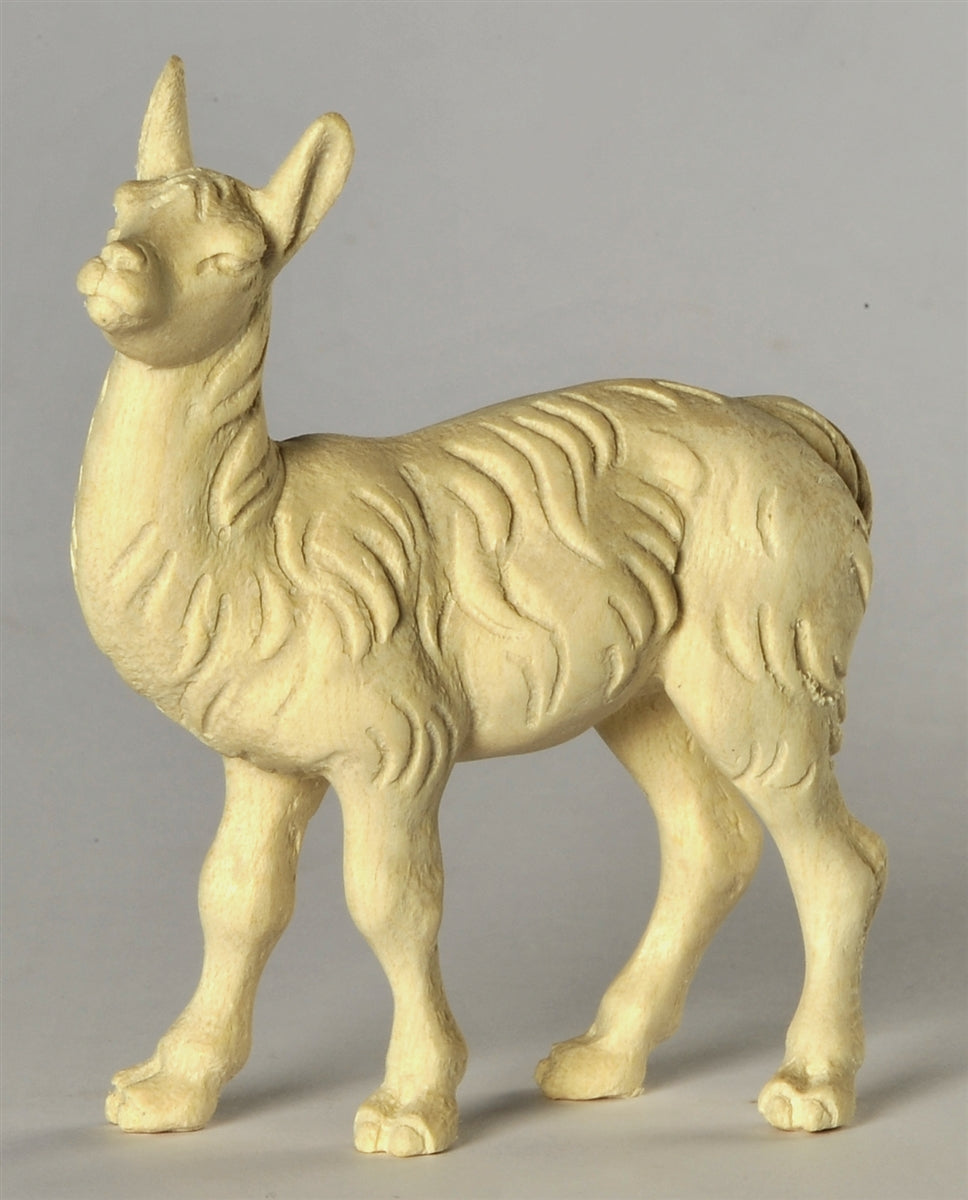 Lamafohlen