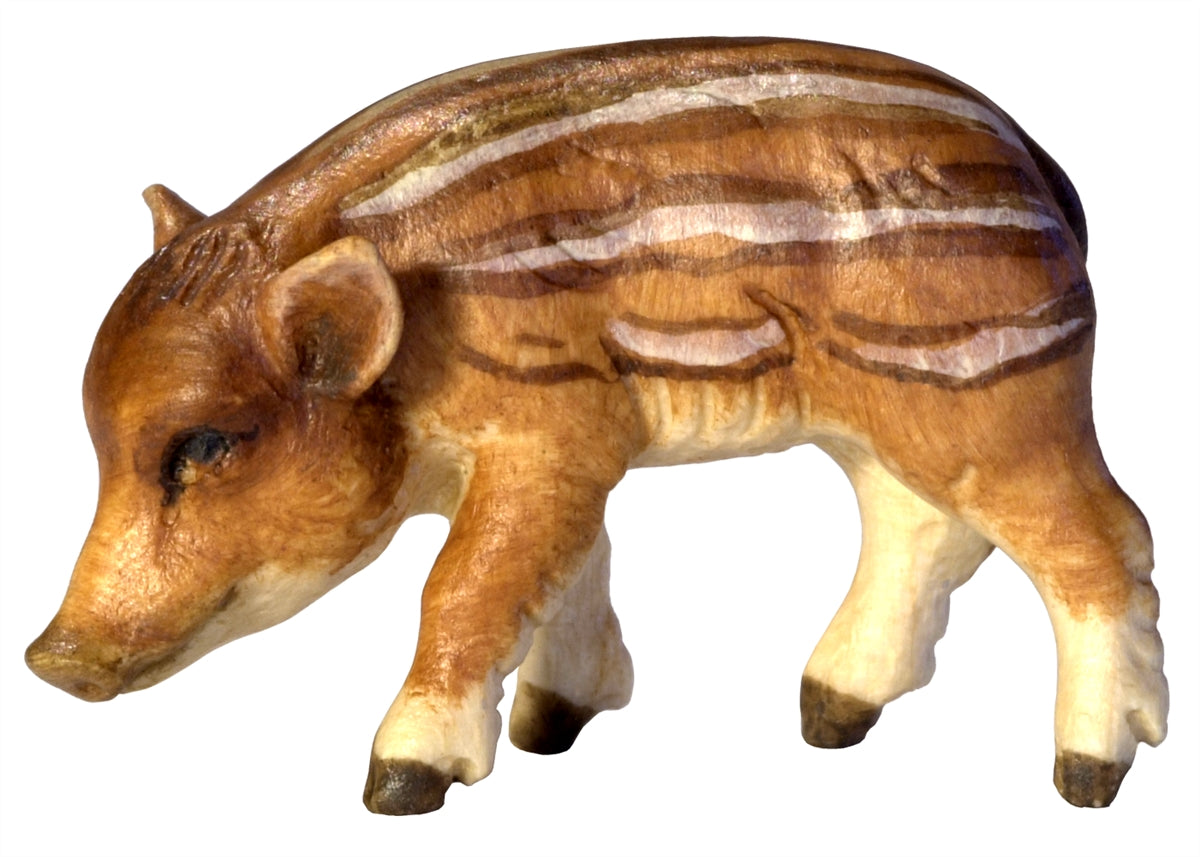 Wildschweinjunge Kopf links