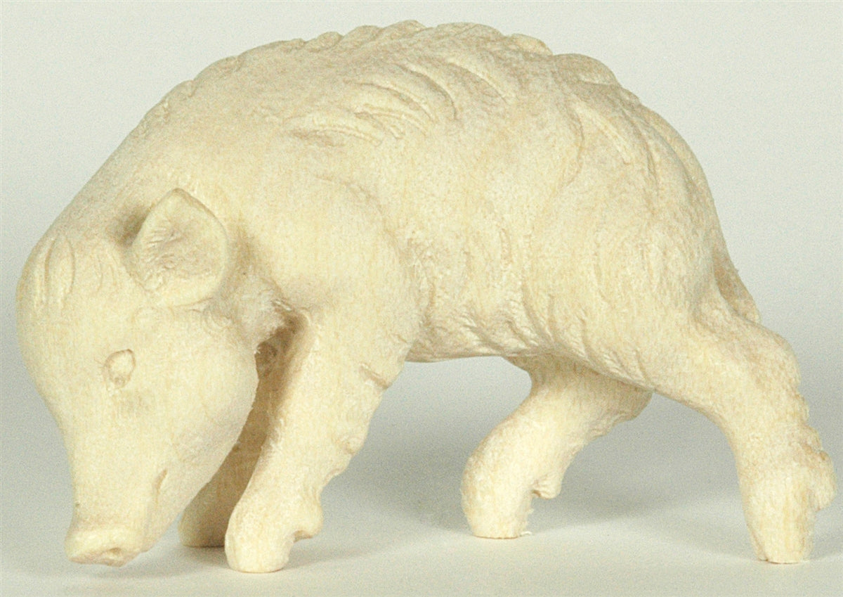 Wildschweinjunge Kopf unten
