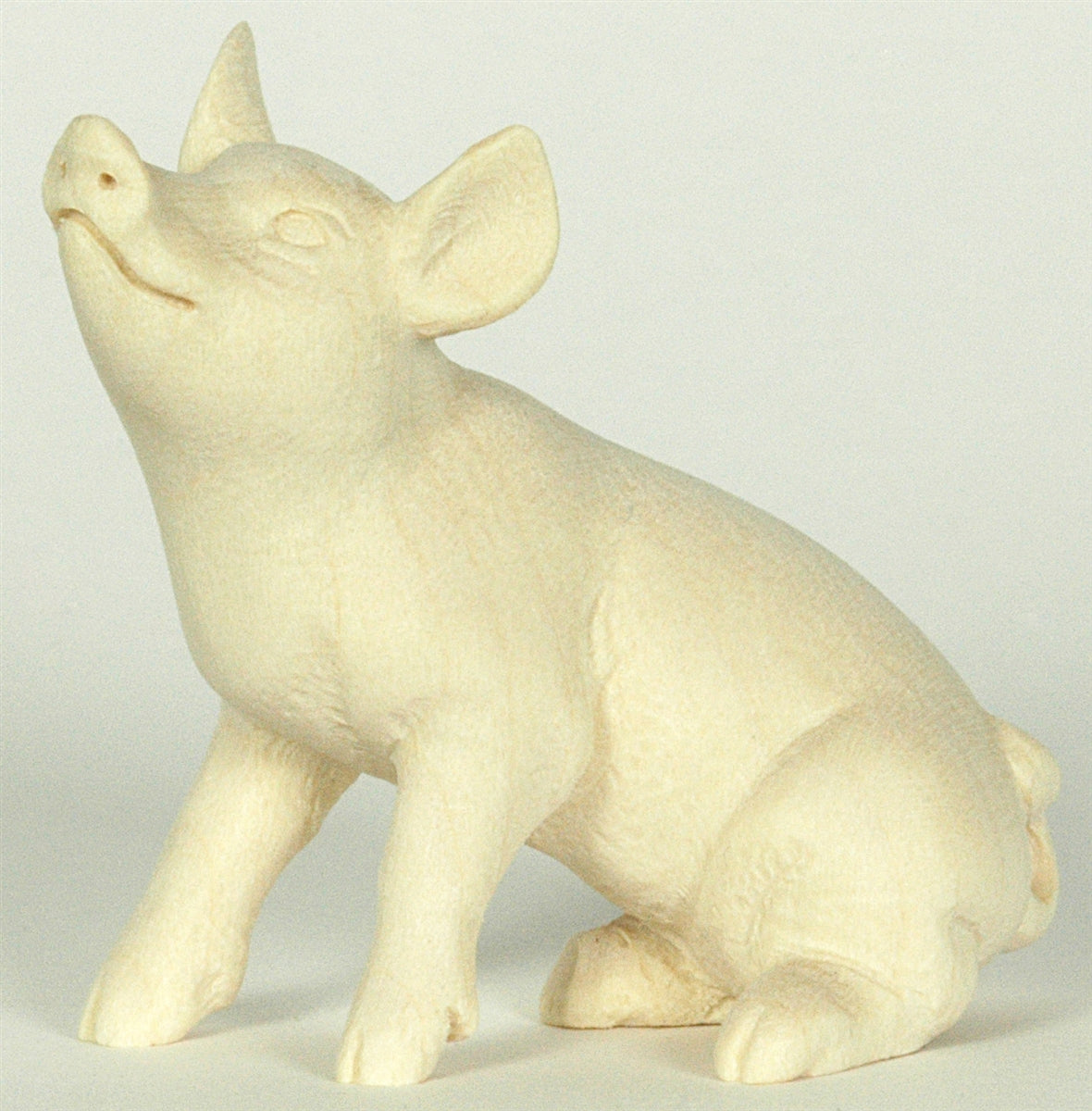Ferkel sitzend