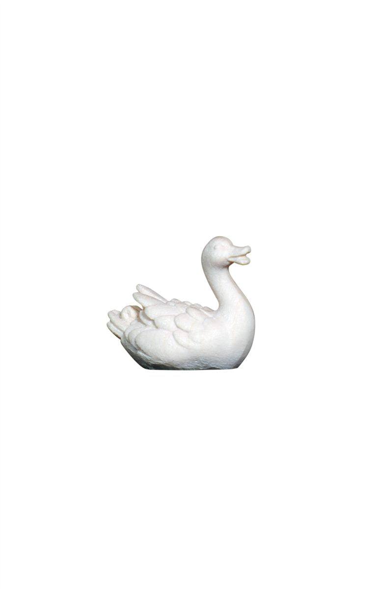 Ente schwimmend