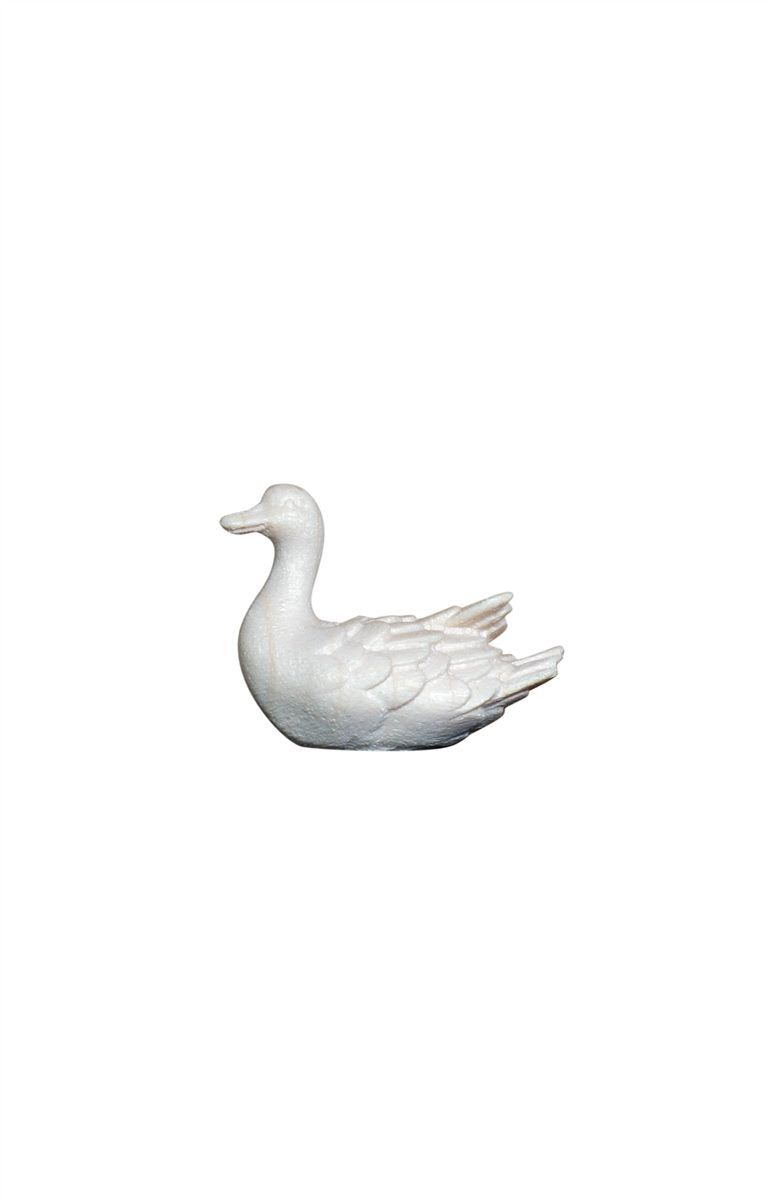 HE Ente schwimmend links