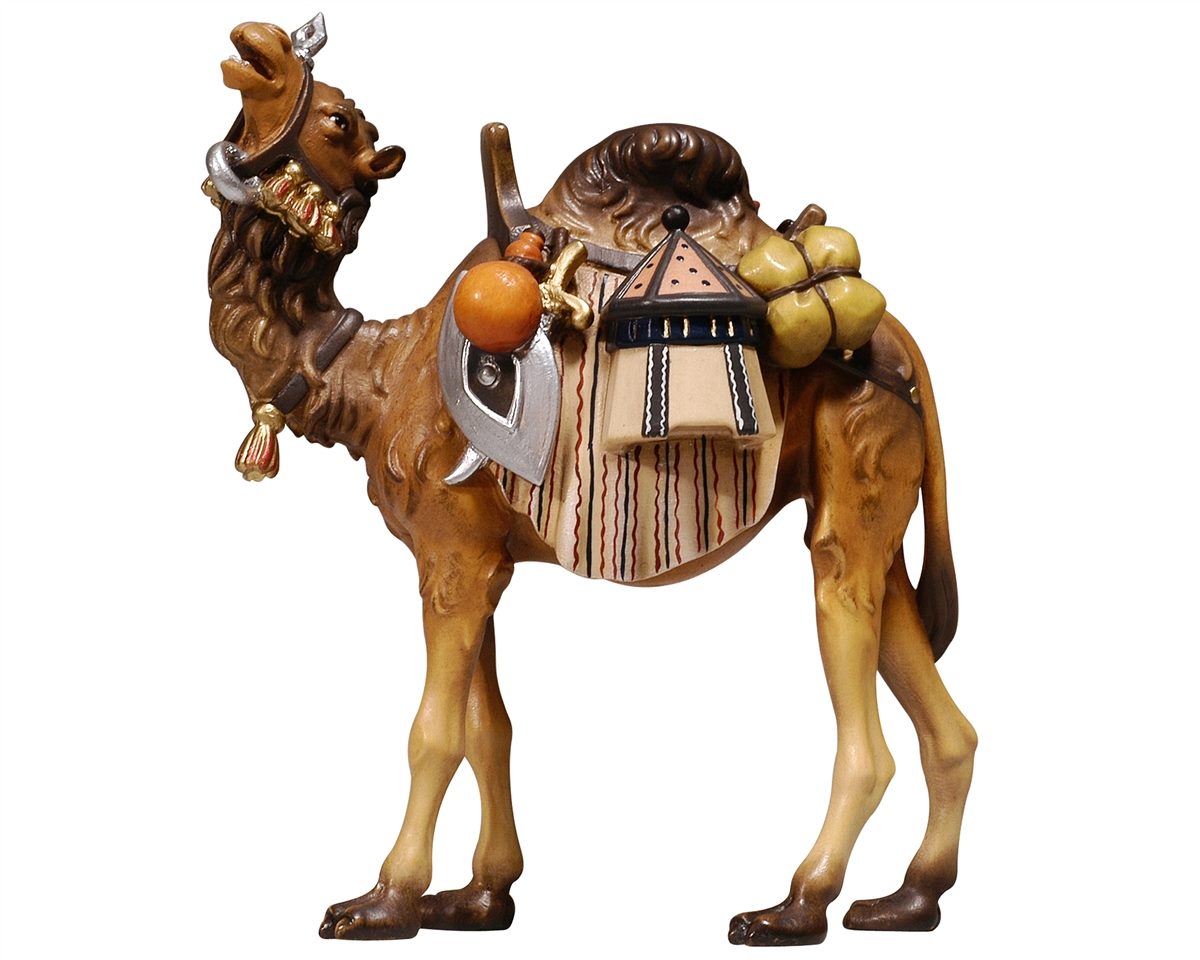 HE Kamel mit Gepäck