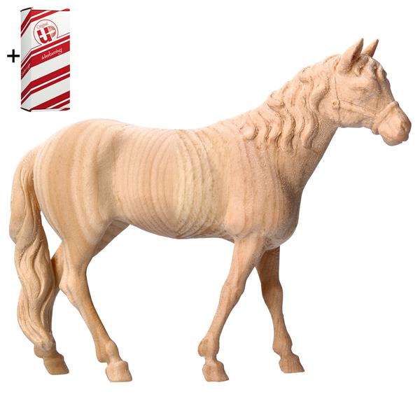 BE Pferd stehend