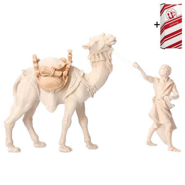 BE Sattel für Kamel stehend + Geschenkbox