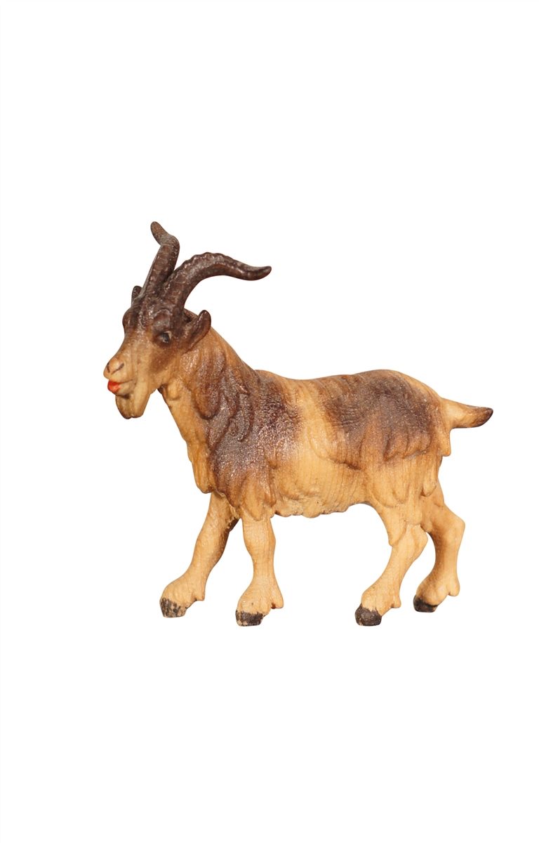 ZI Ziegenbock