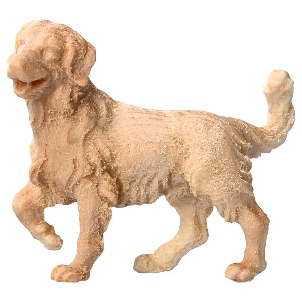 BE Hirtenhund