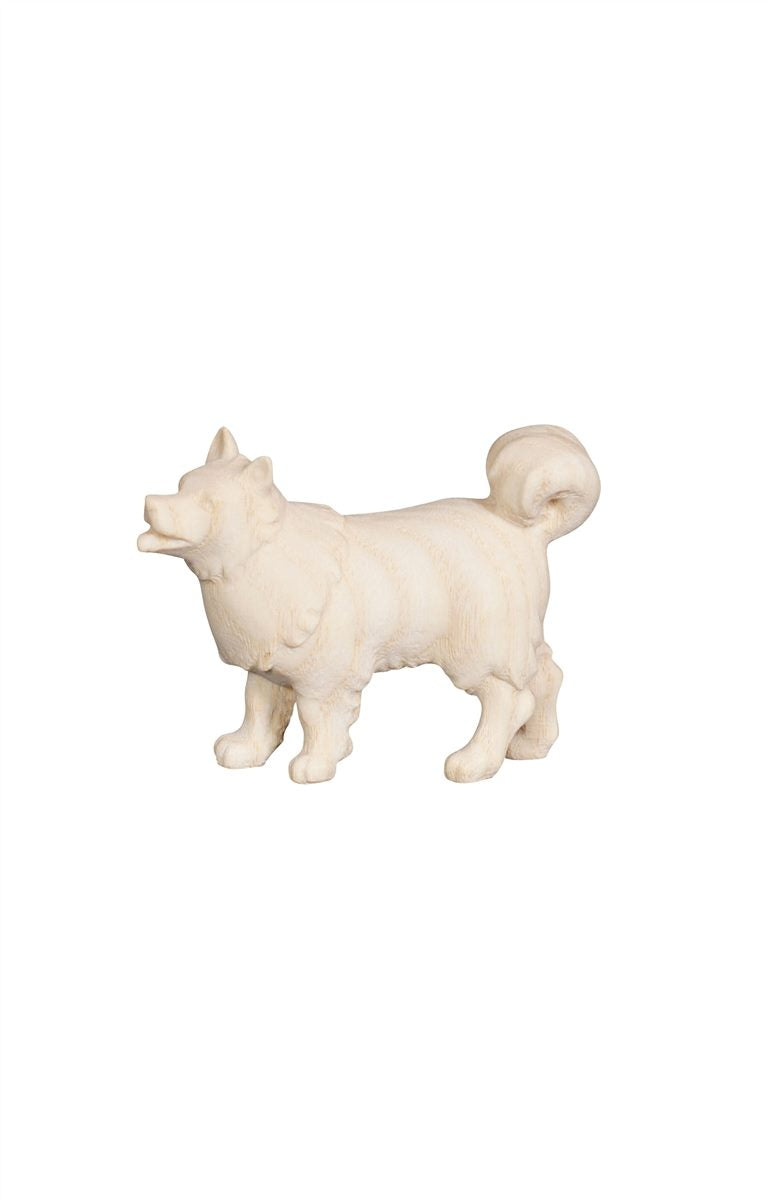 AD Hund Spitz