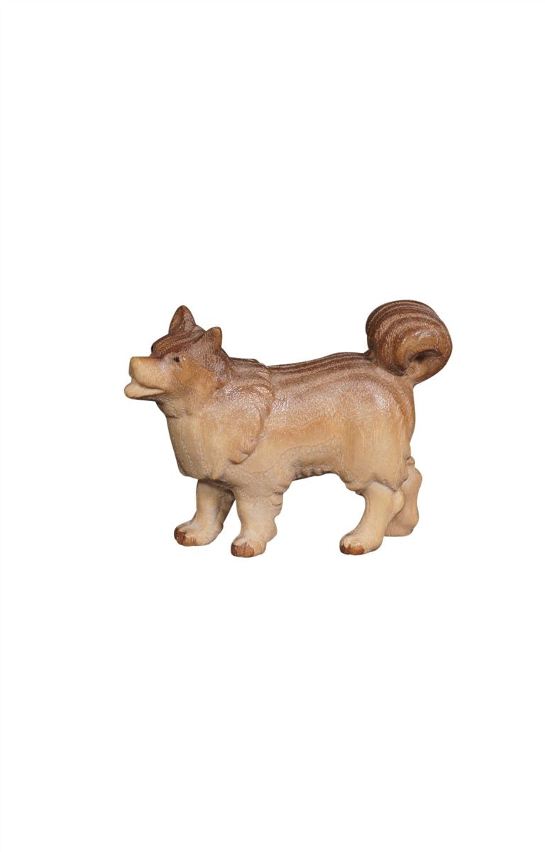 PE Hund Spitz