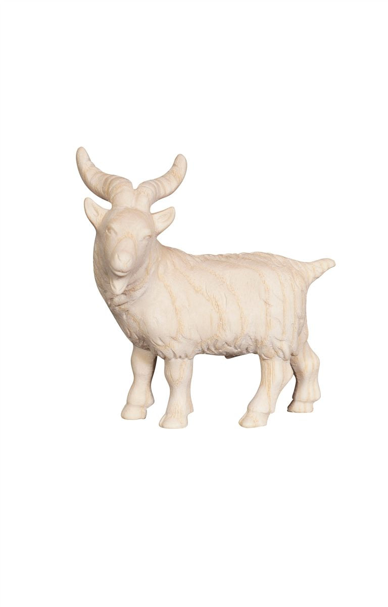 PE Ziegenbock