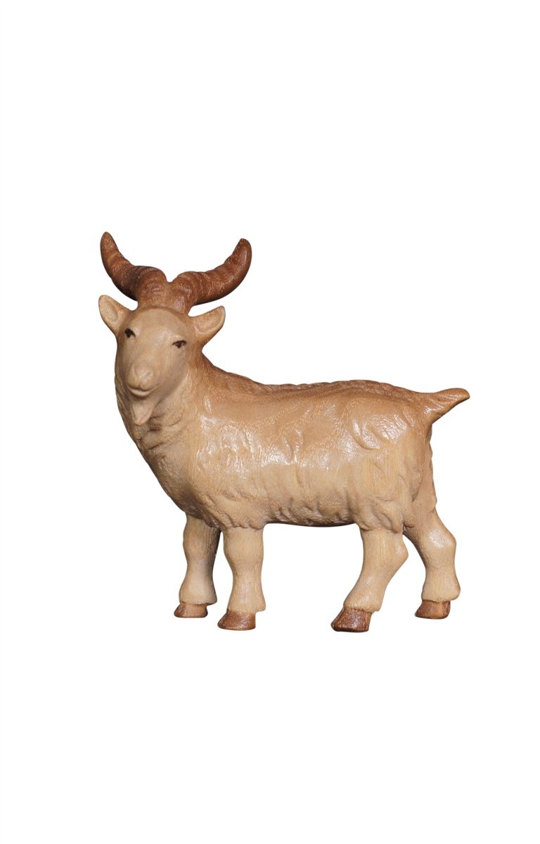 PE Ziegenbock