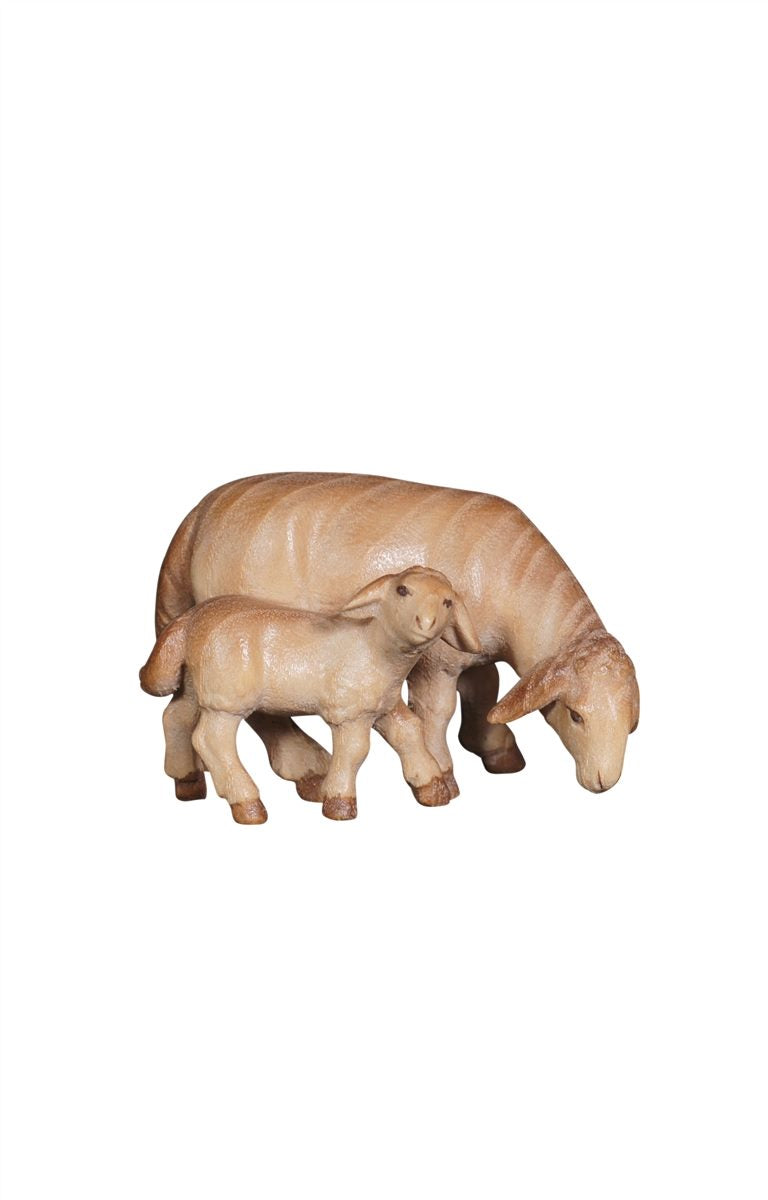 PE Schaf äsend mit Lamm