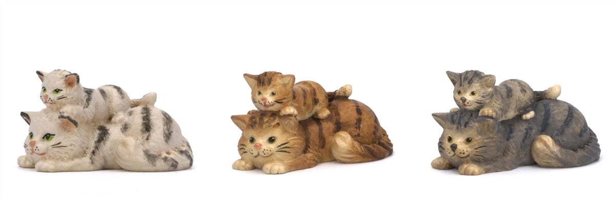 Katze mit Junge lieg.