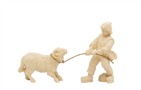 Junge ziehend mit Schafbock
