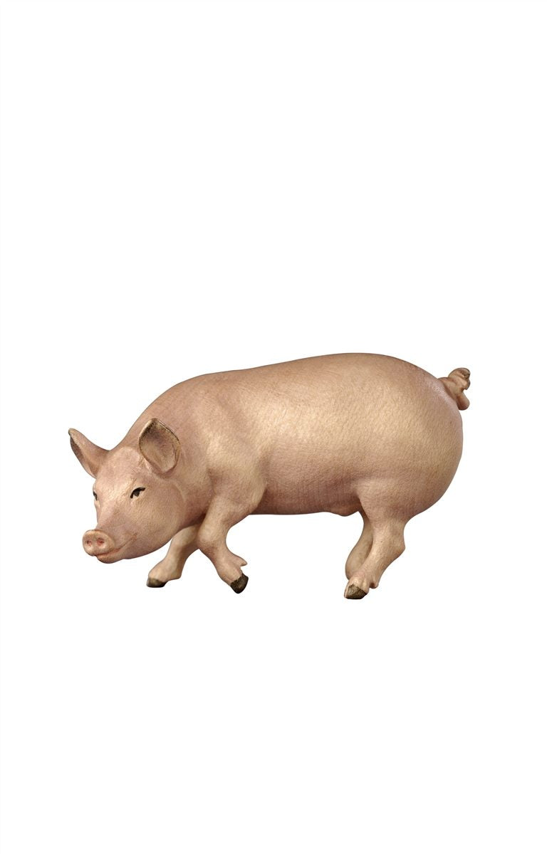 KO Schwein