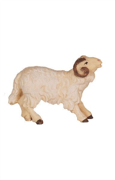 Schafbock