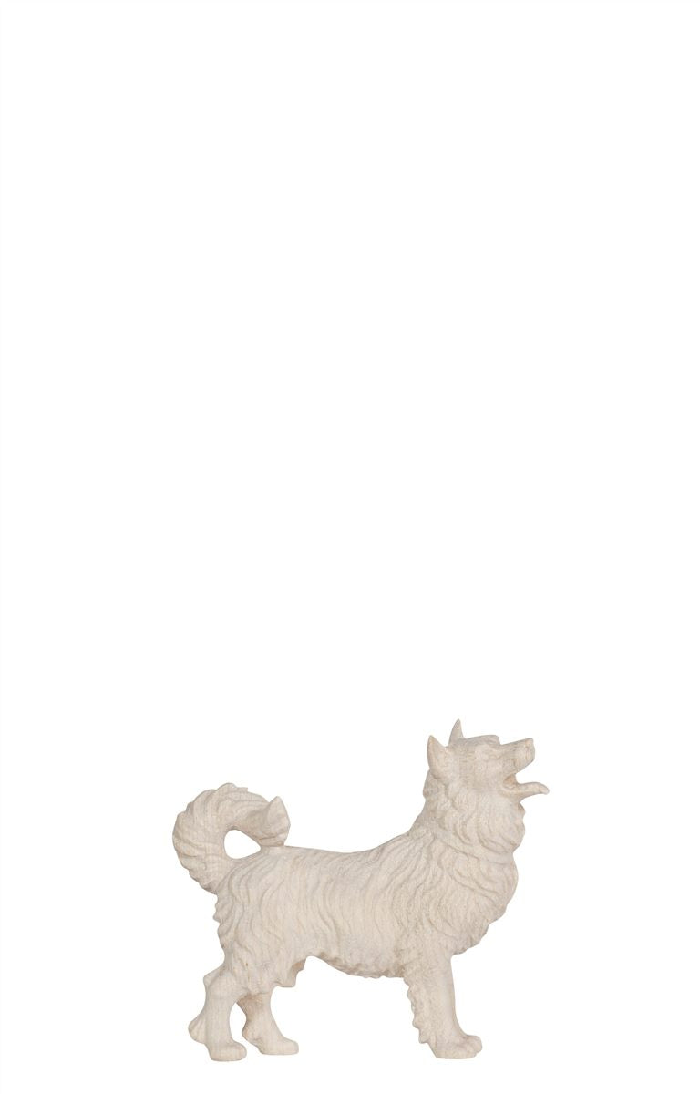 HE Hund Spitz