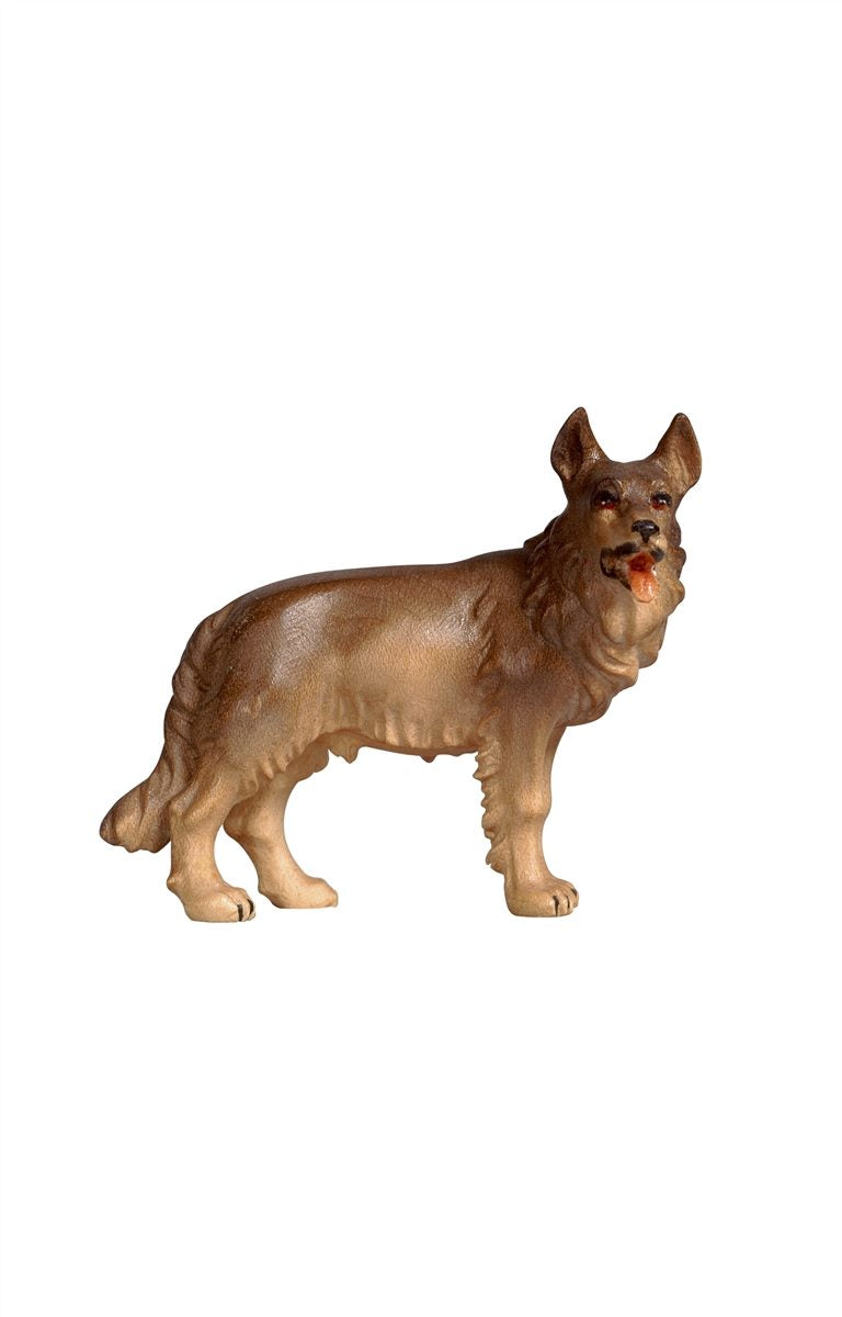 RA Schäferhund