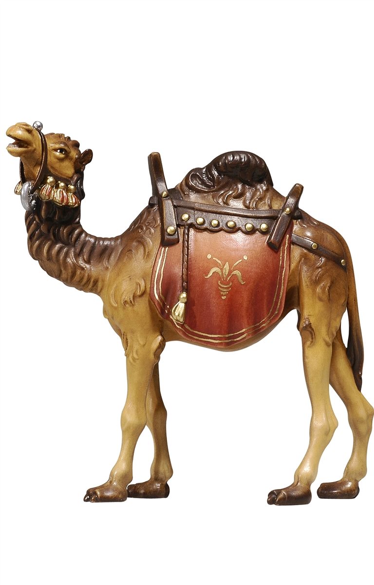 KO Kamel