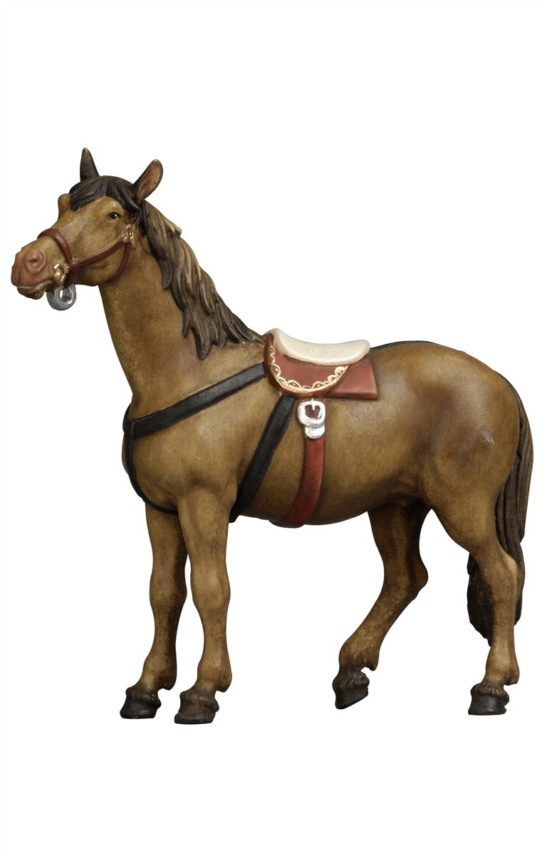 MA Pferd