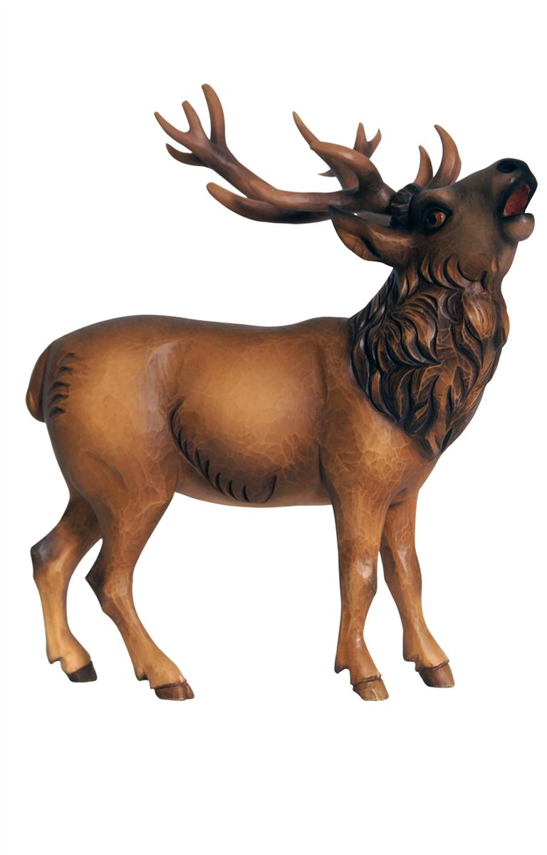MA Hirsch