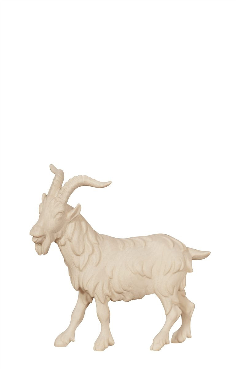 KO Ziegenbock