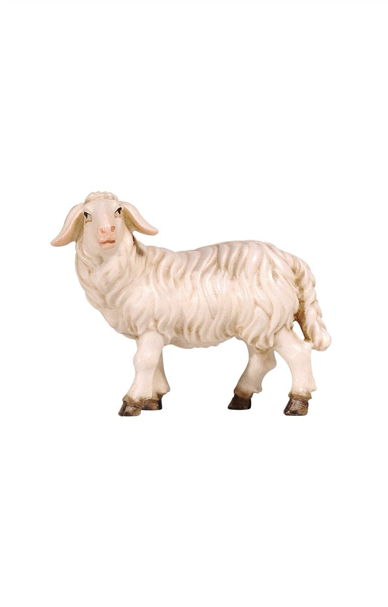 KO Schaf stehend linkssch.