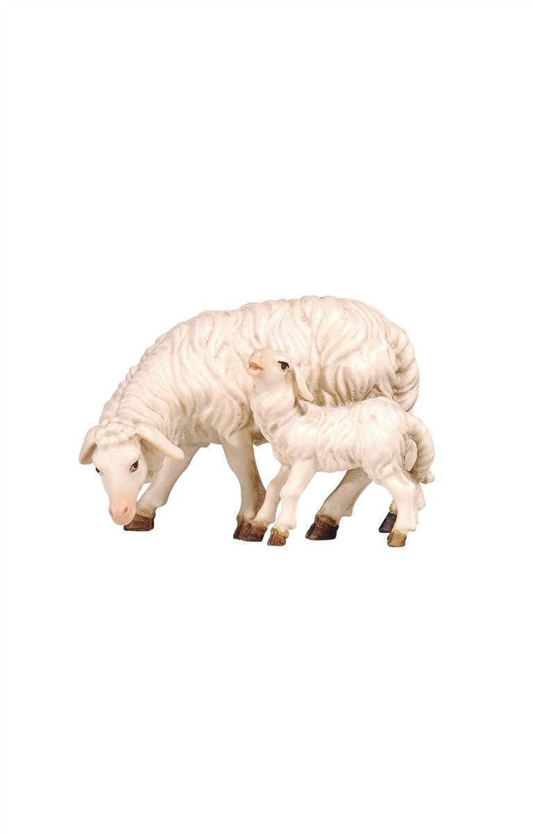 MA Schaf äsend mit Lamm