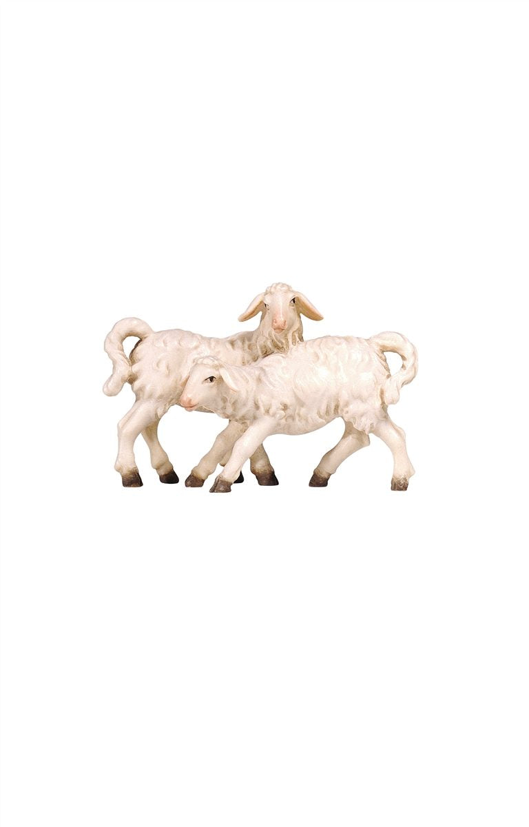 MA Lammgruppe