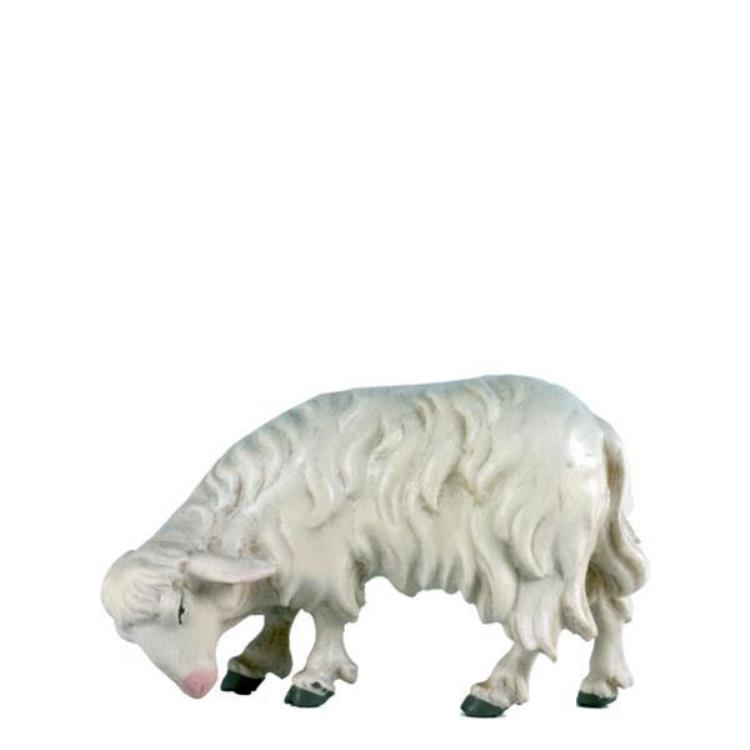 Costa Krippe Schaf grasend