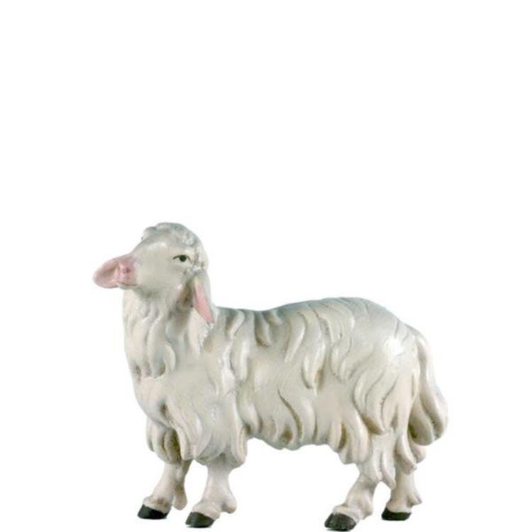 Costa Krippe Schaf stehend links