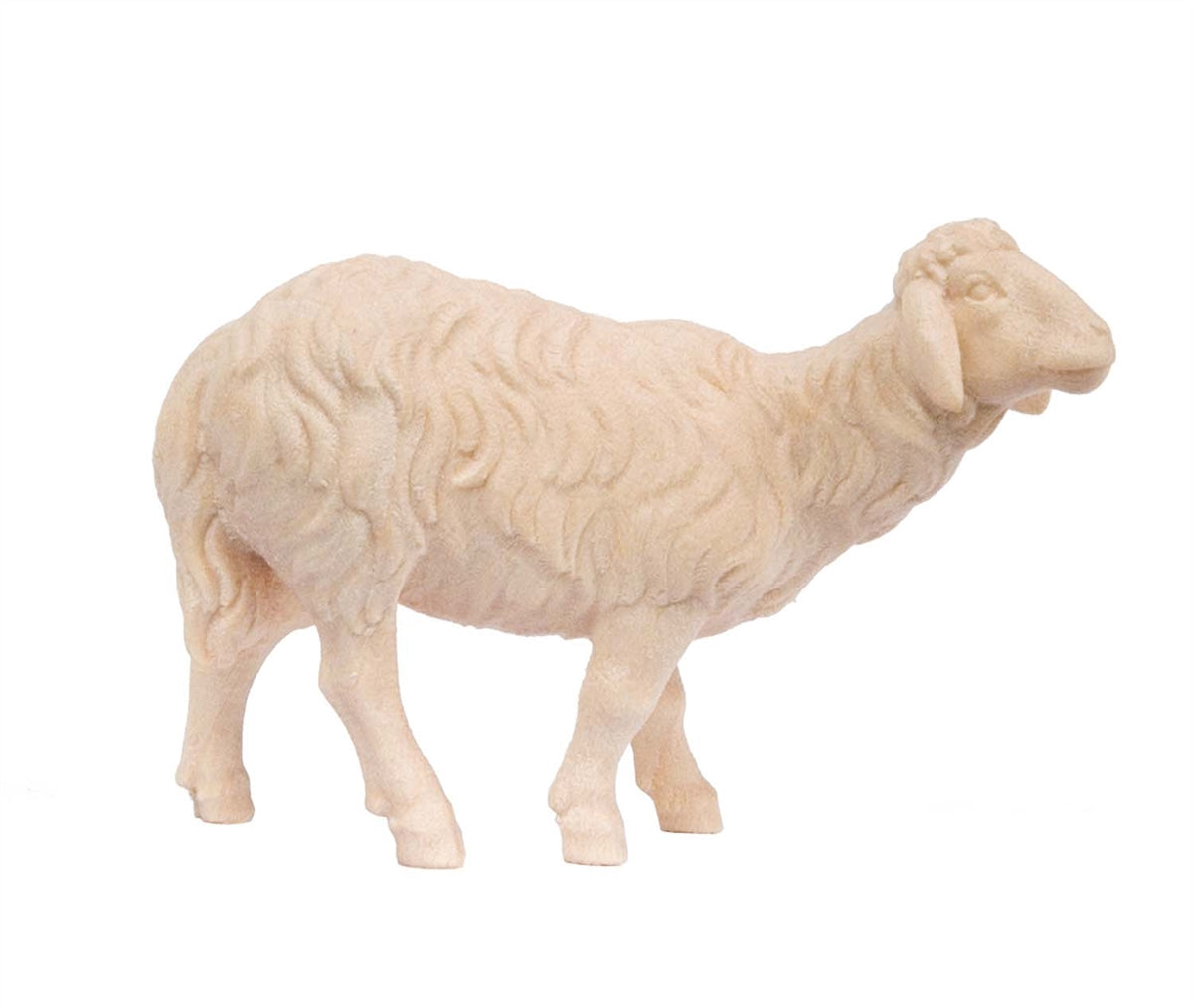 Schaf stehend