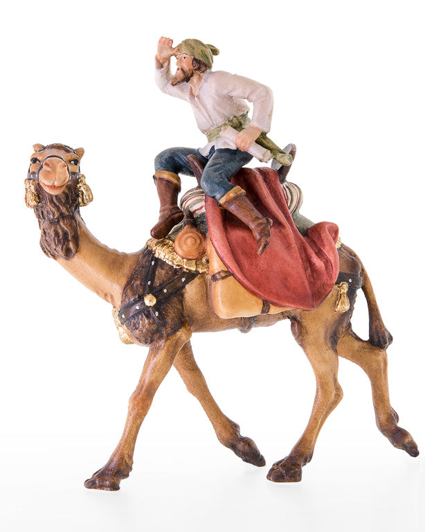 Kamel mit Reiter