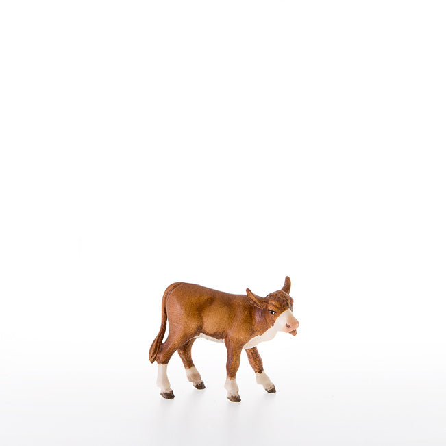 Leckendes Kalb