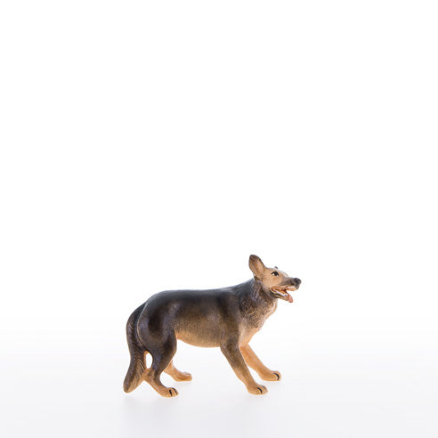 Schaeferhund