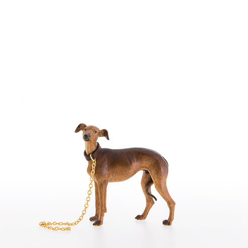 Windhund