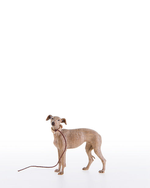 Windhund