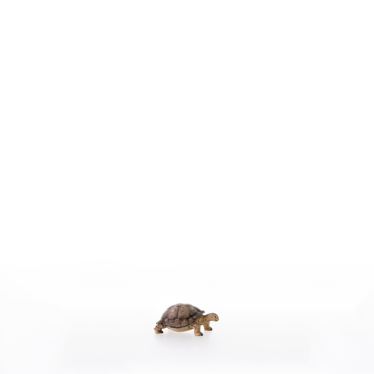 Schildkroete