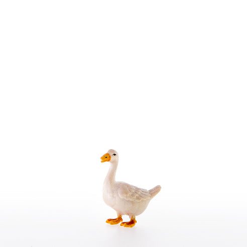Gans nach vorne schauend