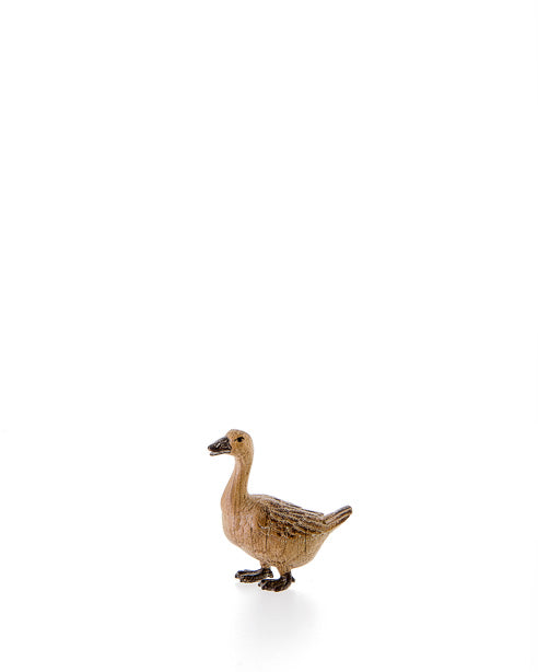 Gans nach vorne schauend